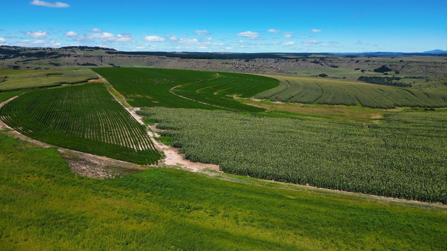 0 Bedroom Property for Sale in Maclear Rural Eastern Cape